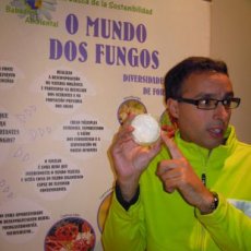 micologico8