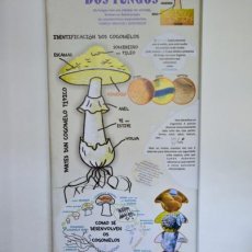 Paneles8